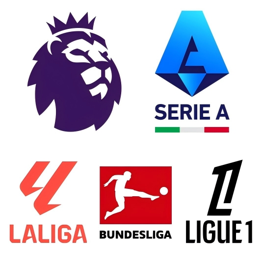 意西德法甲从那儿挖东谈主？西甲原土引援比例最高，法甲开垦国际阛阓