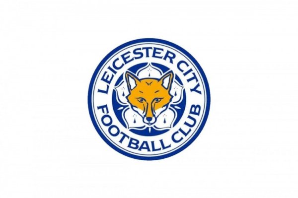 靠近扣分危境! 电讯报: 莱斯特城违背联赛财务限定, 本赛季或被罚